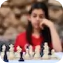 Chess picture